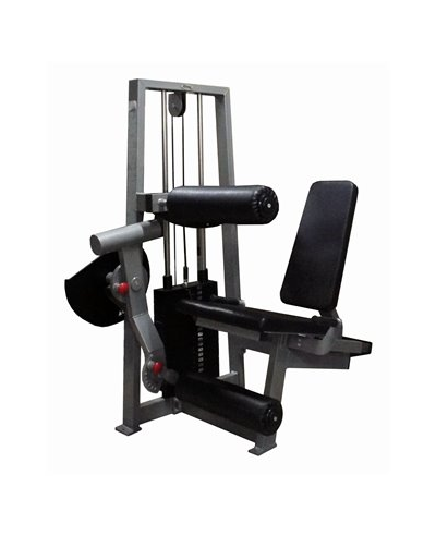 Сгибание-разгибание ног сидя 2 в 1 100 кг AV216/80