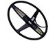Garrett ACE 300i