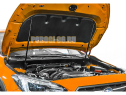 Амортизаторы капота, 2 шт. АвтоУпор для Subaru XV II 2017-