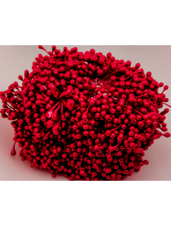 Тычинки капельки около 340 нитей , двусторонние , цвет темно-красный