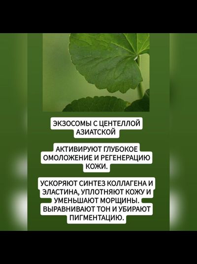 SLOWMENT Революционная маска "медленное старение" - лифтинг, омоложение и клеточный детокс 5шт.