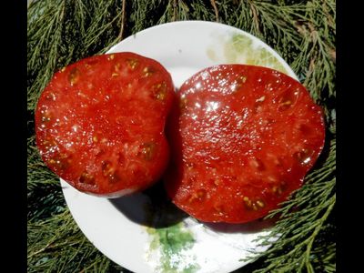 Томат Фиолетовый коньяк (Purple Brandy) США