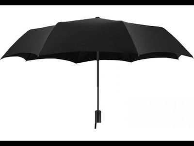 Зонт Xiaomi Mijia Automatic Umbrella