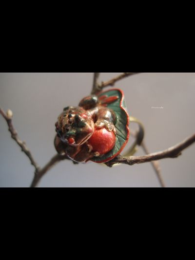 Фэнтезийное кольцо с опалом "Принц-лягушка Восточного Королевства"