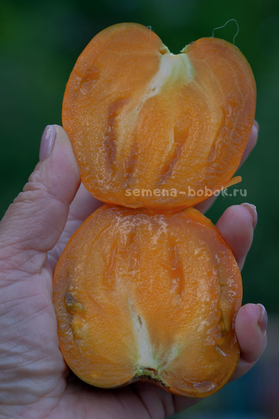 Томат Severe Melon (Суровая Дыня немцев Поволжья), 10 шт