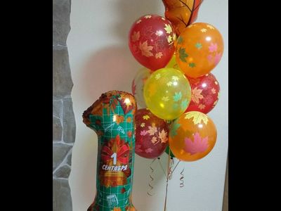 День знаний № 4