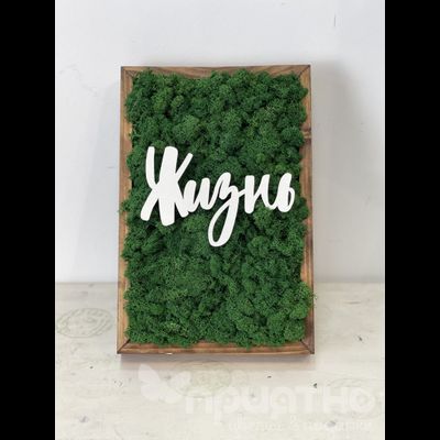 ЖИВАЯ ЭКО-КАРТИНА 1051