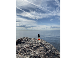 Духи НОТА: ЮНАЯ КОЖА, 3.5 мл