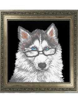 Умный хаски, К3255