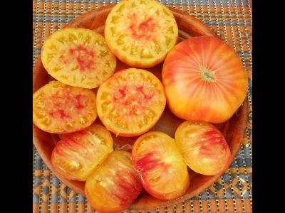 Томат Желто-оранжевые от Умриловой