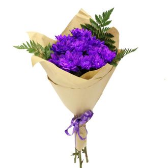 3 крашенные фиолетовые хризантемы