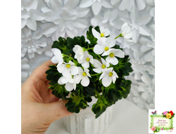 Lullaby (Arndt) (гёрл-лист)