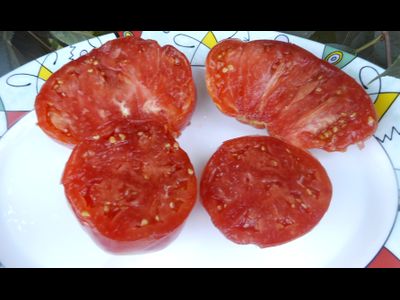 Томат Гордость Грайтмара (Grightmire's Pride) США