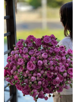 31 кустовая пионовидная роза