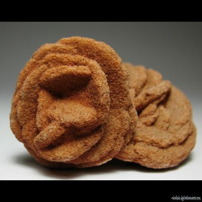 Барит - "роза".  Norma. Oklahoma. USA. 50*31*25мм