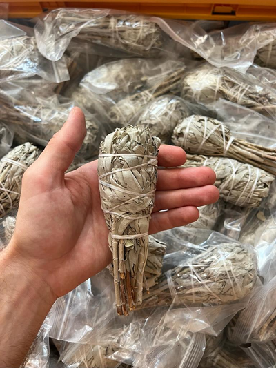 Белый шалфей - Факел 35-50 гр.