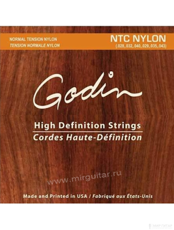 Godin 009350 NTC Nylon