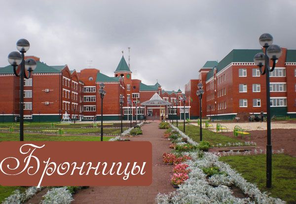 Гимназия пушкина бронницы. Маоу гимназия имени а. Гимназия бронницы. Гимназия пушкина бронницы. Школа бронницы гимназия.
