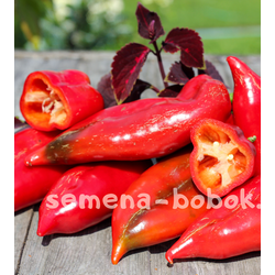 Перец сладкий Паланичко Чудо, 10 шт