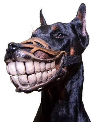 намордник, зубы, клыки, улыбка, улыбается, для собаки, смешной, улыбается, скуби ду, собачка, зубки