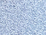 DB1497 Delica Bead Op Lt Sky Blue 5 гр.