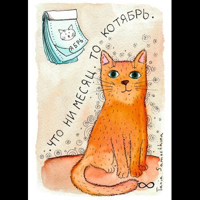 D0247 Котябрь