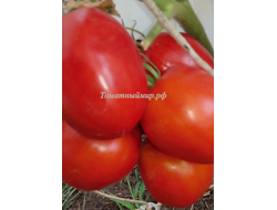Томат Де Барао гигант
