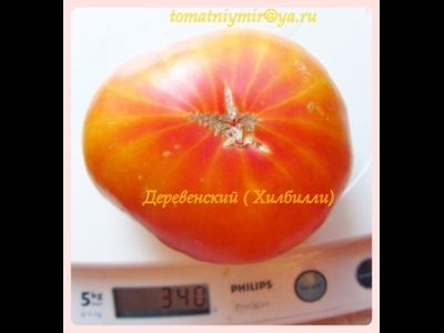 Томат Деревенский (HILBILLY)