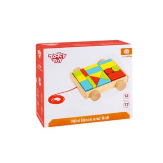 Развивающая игрушка Tooky Toy Каталка с кубиками