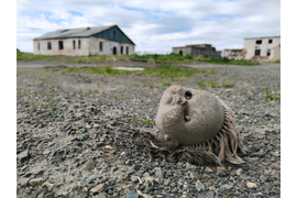 Гарнизон Скорбеевский