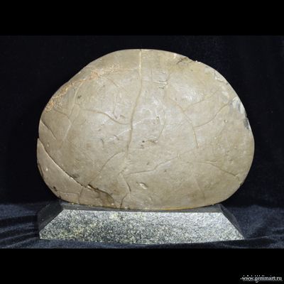 Септария - полированный спил на подставке из камня. 190*103*172мм