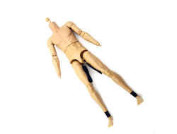 Тело 1/6 (78071) - DAMTOYS