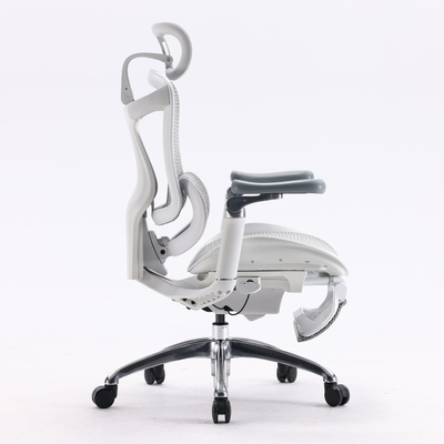 Ортопедическое кресло SIHOO Doro C300 Pro | серо-белое