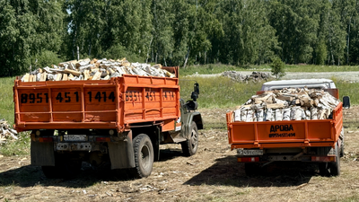 Дрова березовые колотые ГАЗель 2,5 м3