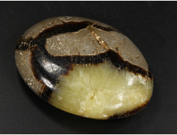 Септария, кальцит, полировка плоская, Мадагаскар (53*39*16 мм, 52 г) №37849