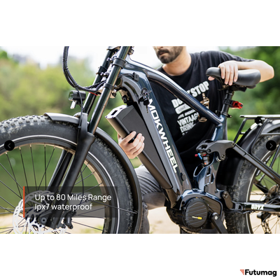 Электровелосипед MOKWHEEL ONYX серый