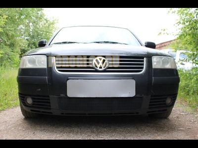 Защита радиатора Volkswagen Passat B5 2000-2005 black