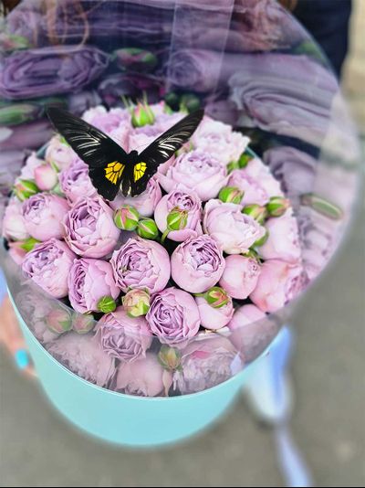 Лавандовые розы с Бабочкой №99