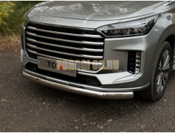 Защита передняя нижняя (овальная) 75х42 мм ТСС для Exeed VX 2023-