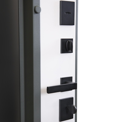 Стальная дверь   Барс с окном (терморазрыв 3к). Заказная модель.