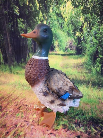 Селезень 25*17см  0,45 кг  полистоун Россия 939//012682