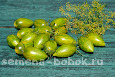 Томат Зеленый Тигр ( Green Tiger), 10 шт