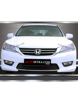 Premium защита радиатора для Honda Accord (2012-)