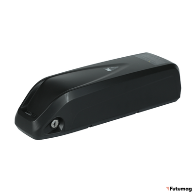 Аккумулятор 48В 13.2Ач (LG cell 3200) c ЗУ 48В2А
