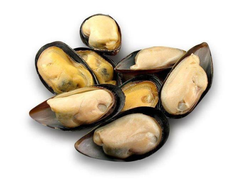 Мидии на половинке ракушки 30/40 Premium mussels. Упаковка 1 кг