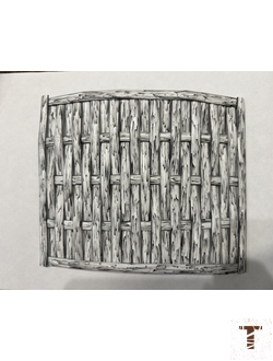 Березка гладкий