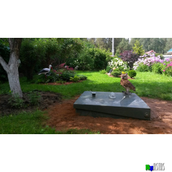 ТОПАС-С 9 ПР