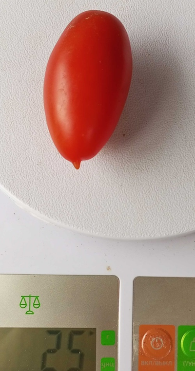 Томат черри Килечки