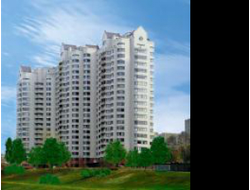 РЕКЛАМА В ЛИФТАХ РАЙОН АКАДЕМИЧЕСКИЙ