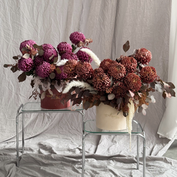 Нежность в бархате